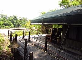 Forest Floor Lodge